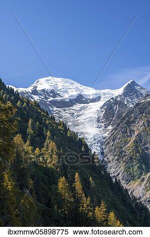 Glacier tongue on the mountain slope, Glacier de Taconnaz, summit of Mont Blanc and Aiguille de Bionnassay, Chamonix, Haute-Savoie, France, Europe View Large Photo Image Stock Photography - Glacier tongue on the mountain slope, Glacier de Taconnaz, summit of Mont Blanc and Aiguille de Bionnassay, Chamonix, Haute-Savoie, France, Europe. Fotosearch