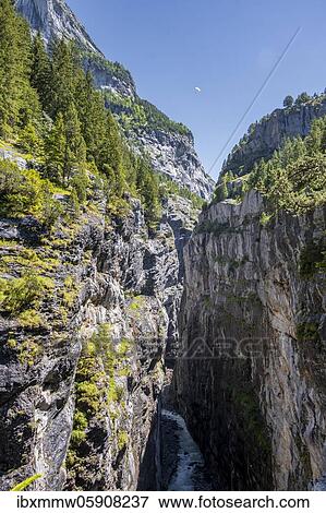 Gorge, Weiße Lütschine, glacier Grindelwald-Fieschergletscher and summit of Walcherhorn, Bernese Oberland, Switzerland, Europe View Large Photo Image Stock Photo - Gorge, Weiße Lütschine, glacier Grindelwald-Fieschergletscher and summit of Walcherhorn, Bernese Oberland, Switzerland, Europe. Fotosearch