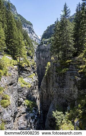 Stock Photography - Gorge, Weiße Lütschine, glacier Grindelwald-Fieschergletscher and summit of Walcherhorn, Bernese Oberland, Switzerland, Europe. Fotosearch