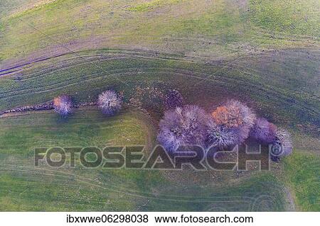 Group of trees in a meadow with vehicle tracks, from above, agricultural landscape, structures, aerial view, drone photo, Mondseeland, Salzkammergut, Upper Austria, Austria, Europe View Large Photo Image Stock Photo - Group of trees in a meadow with vehicle tracks, from above, agricultural landscape, structures, aerial view, drone photo, Mondseeland, Salzkammergut, Upper Austria, Austria, Europe. Fotosearch