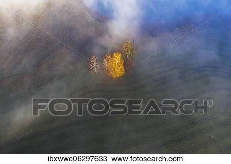 Stock Image - Group of trees rising out of the sea of fog at Irrsee, inversion weather situation, drone shot, aerial view, Mondseeland, Salzkammergut, Upper Austria, Austria, Europe. Fotosearch