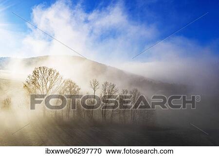 Group of trees rising out of the sea of fog, inversion weather, drone shot, aerial view, Mondseeland, Salzkammergut, Upper Austria, Austria, Europe View Large Photo Image Stock Image - Group of trees rising out of the sea of fog, inversion weather, drone shot, aerial view, Mondseeland, Salzkammergut, Upper Austria, Austria, Europe. Fotosearch
