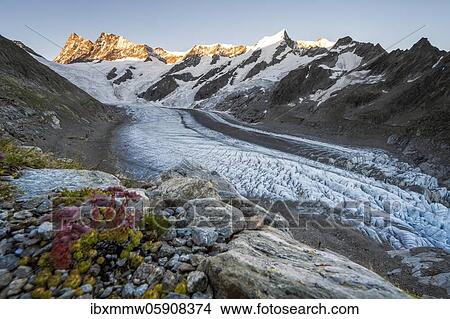 High alpine landscape, sunrise, glacier tongue, glacier Unteres Eismeer, Finsteraarhorn, Agasszishorn, Großes Fiescherhorn, Bernese Oberland, Switzerland, Europe View Large Photo Image Picture - High alpine landscape, sunrise, glacier tongue, glacier Unteres Eismeer, Finsteraarhorn, Agasszishorn, Großes Fiescherhorn, Bernese Oberland, Switzerland, Europe. Fotosearch