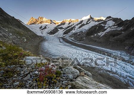 High alpine landscape, sunrise, glacier tongue, glacier Unteres Eismeer, Finsteraarhorn, Agasszishorn, Großes Fiescherhorn, Bernese Oberland, Switzerland, Europe View Large Photo Image Stock Photograph - High alpine landscape, sunrise, glacier tongue, glacier Unteres Eismeer, Finsteraarhorn, Agasszishorn, Großes Fiescherhorn, Bernese Oberland, Switzerland, Europe. Fotosearch