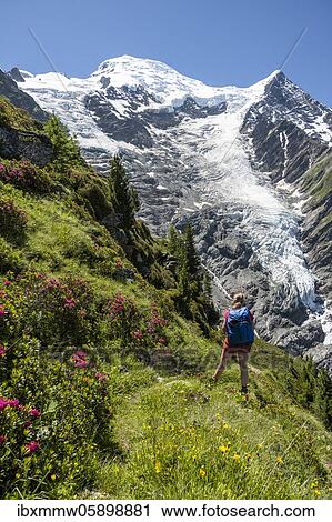 Stock Image - Hiker in front of glacier, hiking trail La Jonction, glacier Glacier de Taconnaz, summit of Mont Blanc and Aiguille de Bionnassay, right Mont Blanc, Chamonix, Haute-Savoie, France, Europe. Fotosearch
