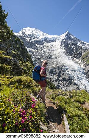 Hiker in front of glacier, hiking trail La Jonction, glacier Glacier de Taconnaz, summit of Mont Blanc and Aiguille de Bionnassay, right Mont Blanc, Chamonix, Haute-Savoie, France, Europe View Large Photo Image Stock Image - Hiker in front of glacier, hiking trail La Jonction, glacier Glacier de Taconnaz, summit of Mont Blanc and Aiguille de Bionnassay, right Mont Blanc, Chamonix, Haute-Savoie, France, Europe. Fotosearch