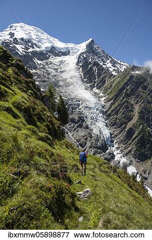 Stock Photo - Hiker in front of glacier, hiking trail La Jonction, glacier Glacier de Taconnaz, summit of Mont Blanc and Aiguille de Bionnassay, right Mont Blanc, Chamonix, Haute-Savoie, France, Europe. Fotosearch