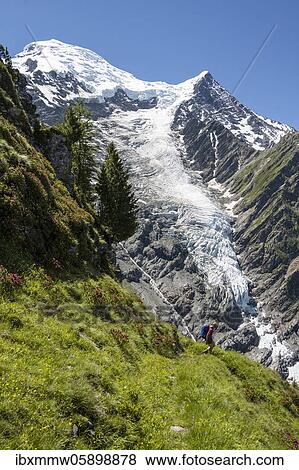 Stock Photo - Hiker in front of glacier, hiking trail La Jonction, glacier Glacier de Taconnaz, summit of Mont Blanc and Aiguille de Bionnassay, right Mont Blanc, Chamonix, Haute-Savoie, France, Europe. Fotosearch