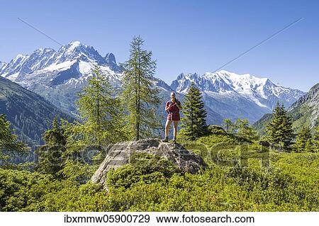 Stock Photo - Hiker Looking at mountain panorama from Aiguillette des Posettes, peaks Aiguille Verte, Aiguille du Midi and Mont Blanc, Chamonix, Haute-Savoie, France, Europe. Fotosearch