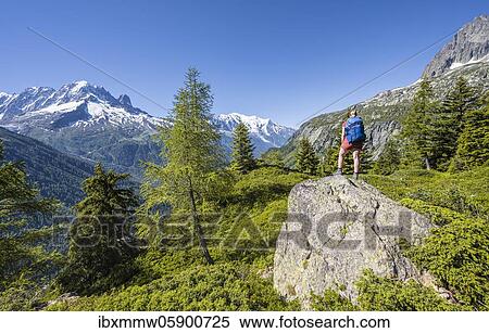 Hiker Looking at mountain panorama from Aiguillette des Posettes, peaks Aiguille Verte, Aiguille du Midi and Mont Blanc, Chamonix, Haute-Savoie, France, Europe View Large Photo Image Stock Photography - Hiker Looking at mountain panorama from Aiguillette des Posettes, peaks Aiguille Verte, Aiguille du Midi and Mont Blanc, Chamonix, Haute-Savoie, France, Europe. Fotosearch