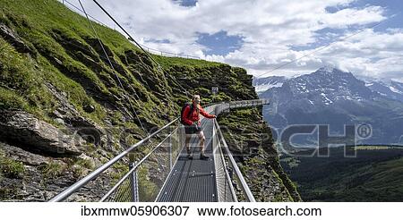 Hiker on a secured hiking trail on the slope, First, Jungfrau Region, Grindelwald, Bern, Switzerland, Europe View Large Photo Image Stock Photo - Hiker on a secured hiking trail on the slope, First, Jungfrau Region, Grindelwald, Bern, Switzerland, Europe. Fotosearch