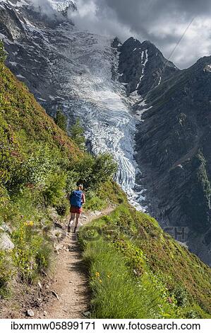 Hiker on hiking trail, Glacier de Taconnaz, view from the hike La Jonction, Chamonix, Haute-Savoie, France, Europe View Large Photo Image Stock Image - Hiker on hiking trail, Glacier de Taconnaz, view from the hike La Jonction, Chamonix, Haute-Savoie, France, Europe. Fotosearch