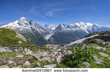 Stock Photo - Hiker on hiking trail, Grand Balcon Sud, glacier, Mer de Glace, Aiguille Verte and Mont Blanc summits, Grandes Jorasses, Mont Blanc massif, Chamonix-Mont-Blanc, Haute-Savoie, France, Europe. Fotosearch