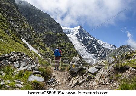Picture - Hiker on hiking trail, hiking trail La Jonction, glacier Glacier de Taconnaz, summit of Aiguille de Bionnassay, right Mont Blanc, Chamonix, Haute-Savoie, France, Europe. Fotosearch