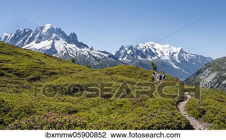 Hiker on hiking trail, mountain panorama from Aiguillette de Poisettes, left Aiguille Verte, middle Aiguille du Midi, right Mont Blanc, Chamonix, Haute-Savoie, France, Europe View Large Photo Image Stock Image - Hiker on hiking trail, mountain panorama from Aiguillette de Poisettes, left Aiguille Verte, middle Aiguille du Midi, right Mont Blanc, Chamonix, Haute-Savoie, France, Europe. Fotosearch