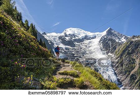 Hiker on hiking trail, mountain landscape, view on glacier Glacier de Taconnaz, hiking La Jonction, Chamonix, Haute-Savoie, France, Europe View Large Photo Image Stock Photo - Hiker on hiking trail, mountain landscape, view on glacier Glacier de Taconnaz, hiking La Jonction, Chamonix, Haute-Savoie, France, Europe. Fotosearch