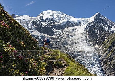 Stock Photograph - Hiker on hiking trail, mountain landscape, view on glacier Glacier de Taconnaz, hiking La Jonction, Chamonix, Haute-Savoie, France, Europe. Fotosearch