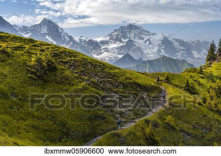 Hiker on hiking trail, snow-covered mountain peaks, Eiger, Mönch, Jungfraujoch and Jungfrau, Jungfraufirn glacier, Jungfrau region, Grindelwald, Bern, Switzerland, Europe View Large Photo Image Stock Image - Hiker on hiking trail, snow-covered mountain peaks, Eiger, Mönch, Jungfraujoch and Jungfrau, Jungfraufirn glacier, Jungfrau region, Grindelwald, Bern, Switzerland, Europe. Fotosearch