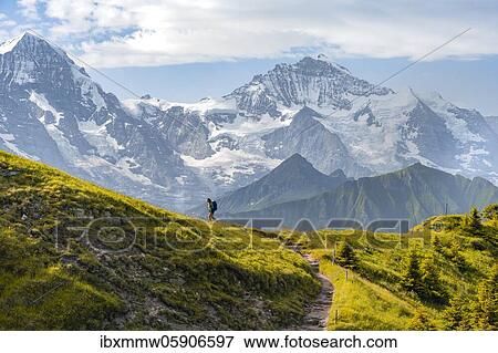 Hiker on hiking trail, snow-covered mountain peaks, Mönch, Jungfraujoch and Jungfrau, Jungfraufirn glacier, Jungfrau region, Grindelwald, Bern, Switzerland, Europe View Large Photo Image Stock Photo - Hiker on hiking trail, snow-covered mountain peaks, Mönch, Jungfraujoch and Jungfrau, Jungfraufirn glacier, Jungfrau region, Grindelwald, Bern, Switzerland, Europe. Fotosearch