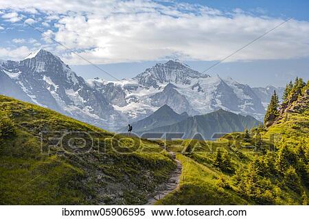 Stock Photography - Hiker on hiking trail, snow-covered mountain peaks, Mönch, Jungfraujoch and Jungfrau, Jungfraufirn glacier, Jungfrau region, Grindelwald, Bern, Switzerland, Europe. Fotosearch