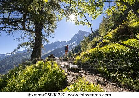 Stock Image - Hiker on trail through the forest to La Jonction, in the back summit of the Aiguille du Midi, Chamonix, Haute-Savoie, France, Europe. Fotosearch