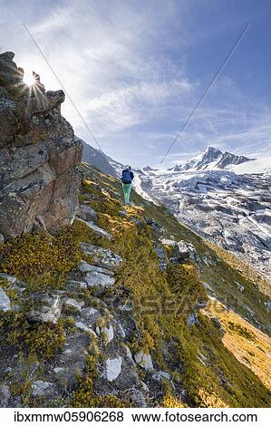Hiker on trail to Glacier du Tour, glacier and mountain peak, high alpine landscape, Aiguille de Chardonnet, Chamonix, Haute-Savoie, France, Europe View Large Photo Image Stock Photo - Hiker on trail to Glacier du Tour, glacier and mountain peak, high alpine landscape, Aiguille de Chardonnet, Chamonix, Haute-Savoie, France, Europe. Fotosearch