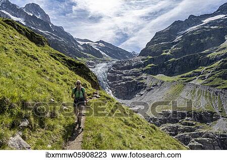 Hiker (right) in the mountains on hiking trail to Grindelwald, left Lower Ice Sea Glacier Grindelwald-Fieschergletscher and summit of Walcherhorn, Bernese Oberland, Switzerland, Europe View Large Photo Image Stock Image - Hiker (right) in the mountains on hiking trail to Grindelwald, left Lower Ice Sea Glacier Grindelwald-Fieschergletscher and summit of Walcherhorn, Bernese Oberland, Switzerland, Europe. Fotosearch