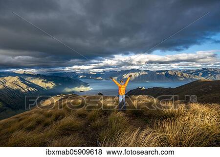 Stock Photo - Hiker stretches his arms in the air, view of Lake Hawea in the evening light, lake and mountain landscape, view from Isthmus Peak, Wanaka, Otago, South Island, New Zealand, Oceania. Fotosearch