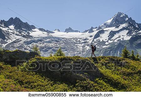 Hiker walking in front of mountain panorama from Aiguillette des Posettes, behind summit of Aiguille de Tour and Aiguille de Chardonnet, Chamonix, Haute-Savoie, France, Europe View Large Photo Image Stock Photography - Hiker walking in front of mountain panorama from Aiguillette des Posettes, behind summit of Aiguille de Tour and Aiguille de Chardonnet, Chamonix, Haute-Savoie, France, Europe. Fotosearch