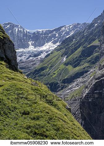 Hiking trail from Grindelwald to Schreckhornhütte, glacier Grindelwald-Fieschergletscher and summit of Walcherhorn, Bernese Oberland, Switzerland, Europe View Large Photo Image Stock Image - Hiking trail from Grindelwald to Schreckhornhütte, glacier Grindelwald-Fieschergletscher and summit of Walcherhorn, Bernese Oberland, Switzerland, Europe. Fotosearch