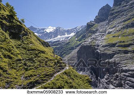 Stock Image - Hiking trail from Grindelwald to Schreckhornhütte, glacier Grindelwald-Fieschergletscher and summit of Walcherhorn, Bernese Oberland, Switzerland, Europe. Fotosearch