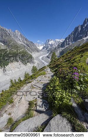 Stock Image - Hiking trail Grand Balcon Nord with view on glacier tongue Mer de Glace, behind Grandes Jorasses, Mont Blanc massif, Chamonix, France, Europe. Fotosearch