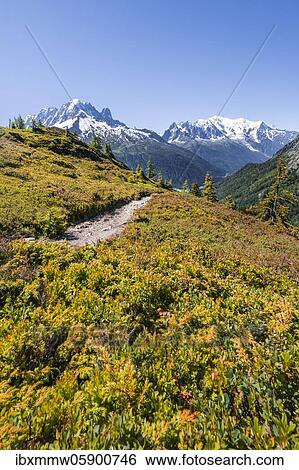 Hiking trail, mountain panorama from Aiguillette des Posettes, left summit of Aiguille Verte, right Aiguille du Midi and Mont Blanc, Chamonix, Haute-Savoie, France, Europe View Large Photo Image Stock Photograph - Hiking trail, mountain panorama from Aiguillette des Posettes, left summit of Aiguille Verte, right Aiguille du Midi and Mont Blanc, Chamonix, Haute-Savoie, France, Europe. Fotosearch