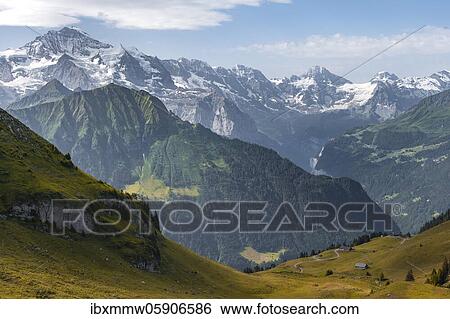 Stock Photograph - Jungfrau, Breithorn and Tschingelhorn, mountain peaks, Jungfrau region, Grindelwald, Canton Bern, Switzerland, Europe. Fotosearch