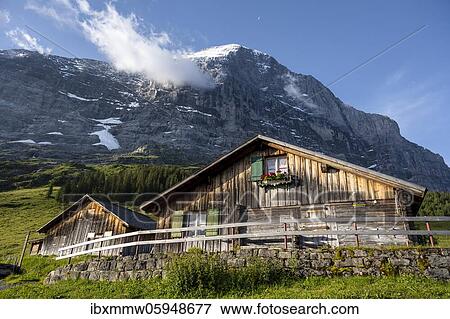Stock Photo - Mountain hut, alpine pasture, Pfingstegg, behind Eiger north face, Jungfrau region, Grindelwald, Bern, Switzerland, Europe. Fotosearch