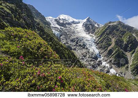 Stock Photo - Mountain landscape, view of glacier Glacier de Taconnaz, hiking La Jonction, Chamonix, Haute-Savoie, France, Europe. Fotosearch