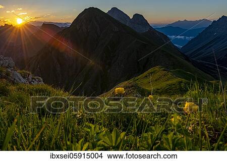 Mountain meadow of the Habart ridge in the foreground with mountains of the Maldon ridge in the background at sunrise, Elmen, Lechtaler Alps, Außerfern, Tyrol, Austria, Europe View Large Photo Image Picture - Mountain meadow of the Habart ridge in the foreground with mountains of the Maldon ridge in the background at sunrise, Elmen, Lechtaler Alps, Außerfern, Tyrol, Austria, Europe. Fotosearch