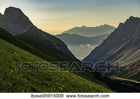 Mountain meadow of the Habart ridge in the foreground with mountains of the Maldon ridge in the background at sunrise, Elmen, Lechtal Alps, Außerfern, Tyrol, Austria, Europe View Large Photo Image Stock Photo - Mountain meadow of the Habart ridge in the foreground with mountains of the Maldon ridge in the background at sunrise, Elmen, Lechtal Alps, Außerfern, Tyrol, Austria, Europe. Fotosearch