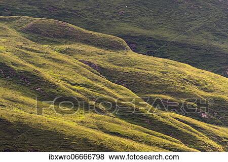 Mountain meadows in Hohe Tauern National Park, Alps, Austria, Europe View Large Photo Image Stock Photo - Mountain meadows in Hohe Tauern National Park, Alps, Austria, Europe. Fotosearch
