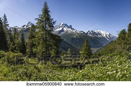 Stock Image - Mountain panorama from Aiguillette de Poisettes, left Aiguille de Tour, middle Aiguille Verte and right Mont Blanc, Chamonix, Haute-Savoie, France, Europe. Fotosearch