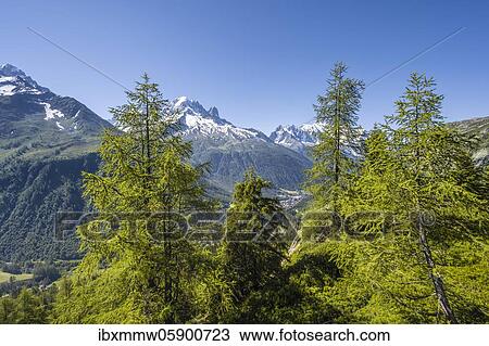 Stock Image - Mountain panorama from Aiguillette des Posettes, summits Aiguille Verte, Aiguille du Midi and Mont Blanc, Chamonix, Haute-Savoie, France, Europe. Fotosearch