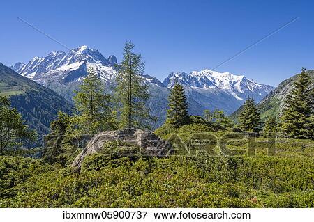 Mountain panorama from Aiguillette des Posettes, summits Aiguille Verte, Aiguille du Midi and Mont Blanc, Chamonix, Haute-Savoie, France, Europe View Large Photo Image Stock Photo - Mountain panorama from Aiguillette des Posettes, summits Aiguille Verte, Aiguille du Midi and Mont Blanc, Chamonix, Haute-Savoie, France, Europe. Fotosearch