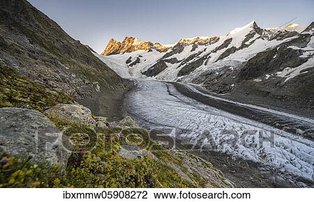 Mountain panorama, high alpine landscape, sunrise, glacier tongue, glacier Unteres Eismeer, Finsteraarhorn, Agasszishorn, Großes Fiescherhorn, Bernese Oberland, Switzerland, Europe View Large Photo Image Stock Image - Mountain panorama, high alpine landscape, sunrise, glacier tongue, glacier Unteres Eismeer, Finsteraarhorn, Agasszishorn, Großes Fiescherhorn, Bernese Oberland, Switzerland, Europe. Fotosearch