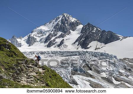 Mountaineer, Hiker on the way to the Refuge Albert 1er, Glacier du Tour, Glacier and mountain peaks, High alpine landscape, Peak of the Aiguille de Chardonnet, Chamonix, Haute-Savoie, France, Europe View Large Photo Image Picture - Mountaineer, Hiker on the way to the Refuge Albert 1er, Glacier du Tour, Glacier and mountain peaks, High alpine landscape, Peak of the Aiguille de Chardonnet, Chamonix, Haute-Savoie, France, Europe. Fotosearch
