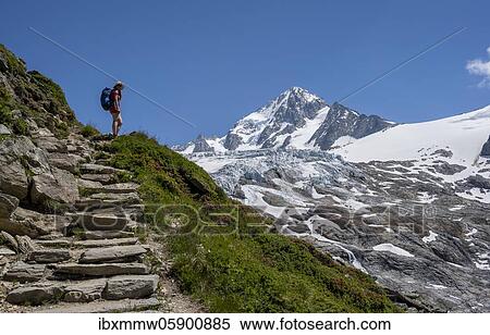 Mountaineer, Hiker on the way to the Refuge Albert 1er, Glacier du Tour, Glacier and mountain peaks, High alpine landscape, Peak of the Aiguille de Chardonnet, Chamonix, Haute-Savoie, France, Europe View Large Photo Image Stock Photography - Mountaineer, Hiker on the way to the Refuge Albert 1er, Glacier du Tour, Glacier and mountain peaks, High alpine landscape, Peak of the Aiguille de Chardonnet, Chamonix, Haute-Savoie, France, Europe. Fotosearch
