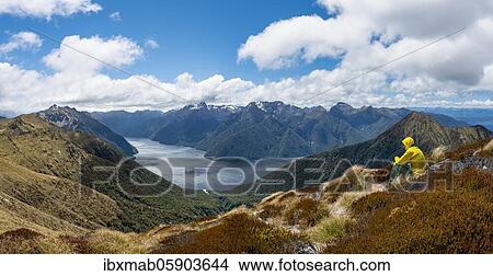 Mountaineer, hiker sitting in the grass, view of the South Fiord of Lake Te Anau, Murchison Mountains and Southern Alps in the background, on the Kepler Track hiking trail, Fiordland National Park, Southland, New Zealand, Oceania View Large Photo Image Picture - Mountaineer, hiker sitting in the grass, view of the South Fiord of Lake Te Anau, Murchison Mountains and Southern Alps in the background, on the Kepler Track hiking trail, Fiordland National Park, Southland, New Zealand, Oceania. Fotosearch