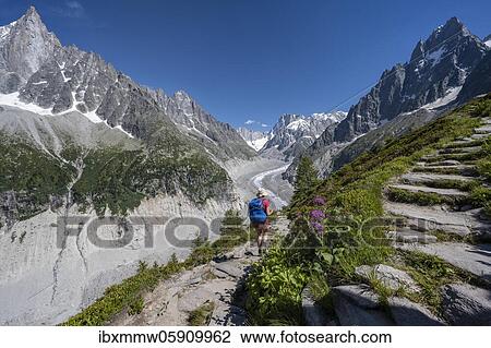 Mountaineer on hiking trail, Grand Balcon Nord, glacier tongue Mer de Glace, behind Grandes Jorasses, Mont Blanc massif, Chamonix, France, Europe View Large Photo Image Stock Image - Mountaineer on hiking trail, Grand Balcon Nord, glacier tongue Mer de Glace, behind Grandes Jorasses, Mont Blanc massif, Chamonix, France, Europe. Fotosearch