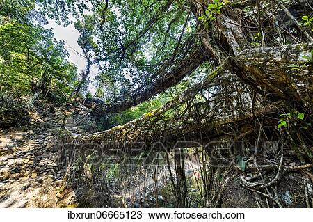 Stock Image - . Fotosearch