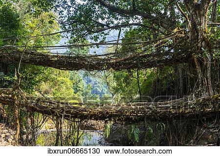 View Large Photo Image Stock Image - . Fotosearch