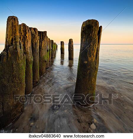 Old groyne on the beach of the Baltic Sea at dawn, near Graal-Müritz, Mecklenburg-Vorpommern, Germany, Europe View Large Photo Image Stock Image - Old groyne on the beach of the Baltic Sea at dawn, near Graal-Müritz, Mecklenburg-Vorpommern, Germany, Europe. Fotosearch